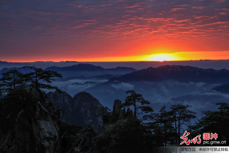 安徽：黄山出现今年入冬第一场雾凇 云海景观