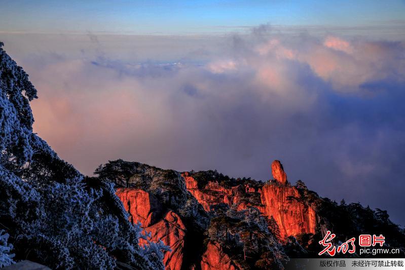 安徽：黃山出現今年入冬第一場霧凇 雲海景觀