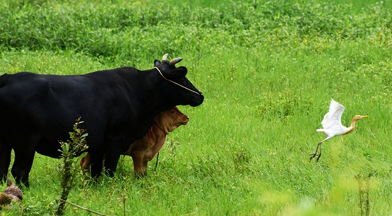 图片默认标题_fororder_27b3c0de-1f69-4f56-8d6b-1f7f06469137