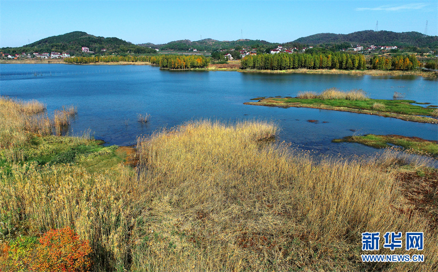 初冬霜色浓 湿地别样美