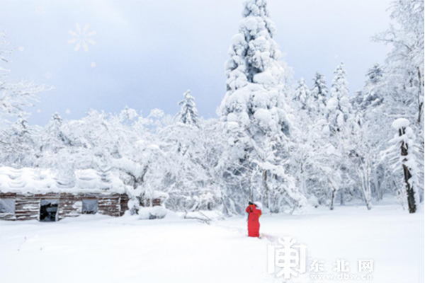 中國·黑龍江冰雪旅遊産業發展指數暨2021年冬季旅遊産品發佈會在南寧收官