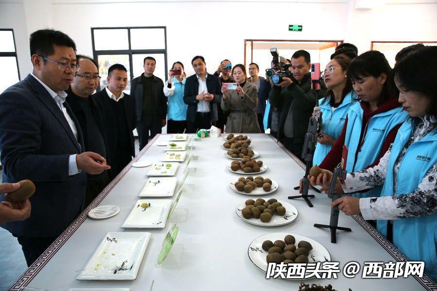 （转载）汉阴：富硒猕猴桃发展进入快车道 有望建成区域水果储藏加工集散交易中心