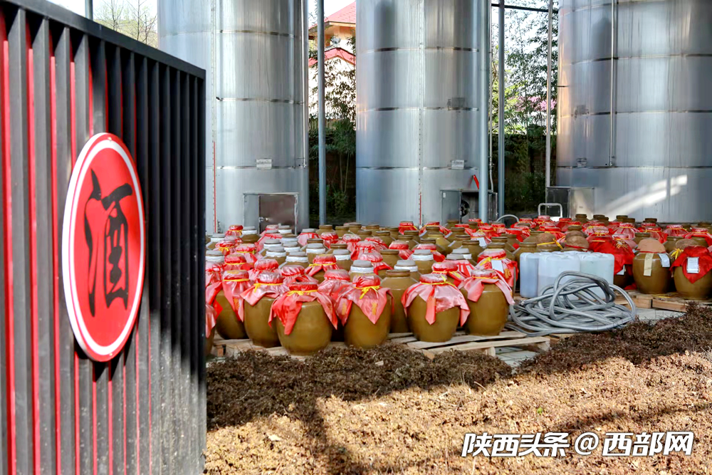 （转载）汉阴：富硒猕猴桃发展进入快车道 有望建成区域水果储藏加工集散交易中心