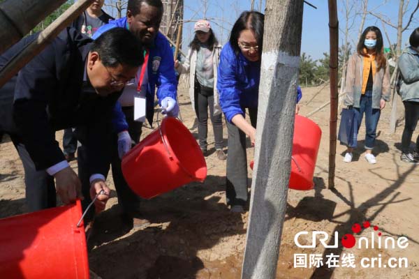 2016"北京国际友好林"植树活动在昌平举行
