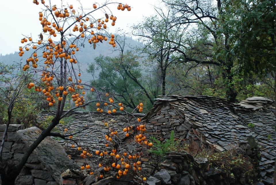 美景山东｜翼云石头部落：山东规模最大的石板房建筑群