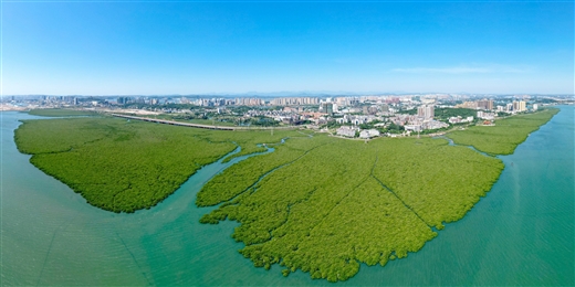 广西：构筑生态家园 推动绿色发展