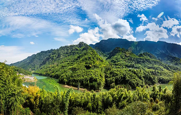 雅安雨城抓实林业有害生物测防检护航生态建设成果