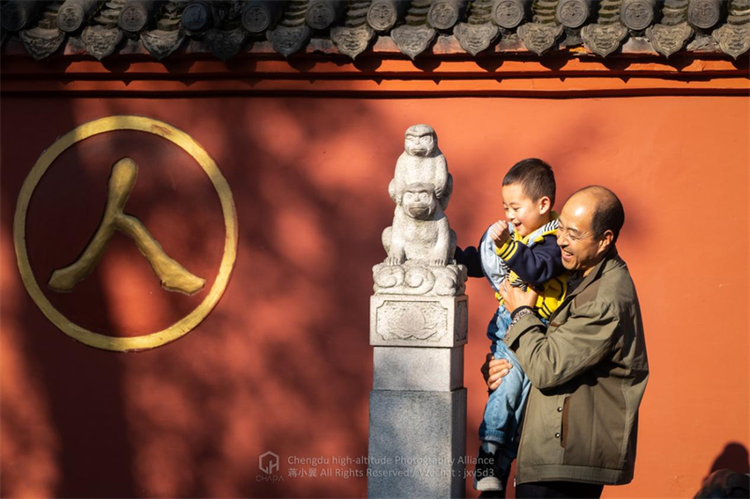 （转载）成都市青羊区：寻找一座超大城市中心城区的进化方法论