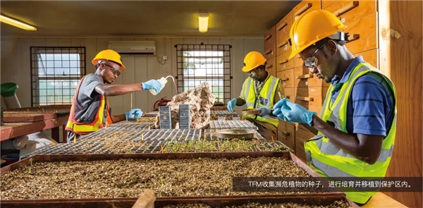 洛阳钼业：如何把ESG基因注入到一家矿业公司？