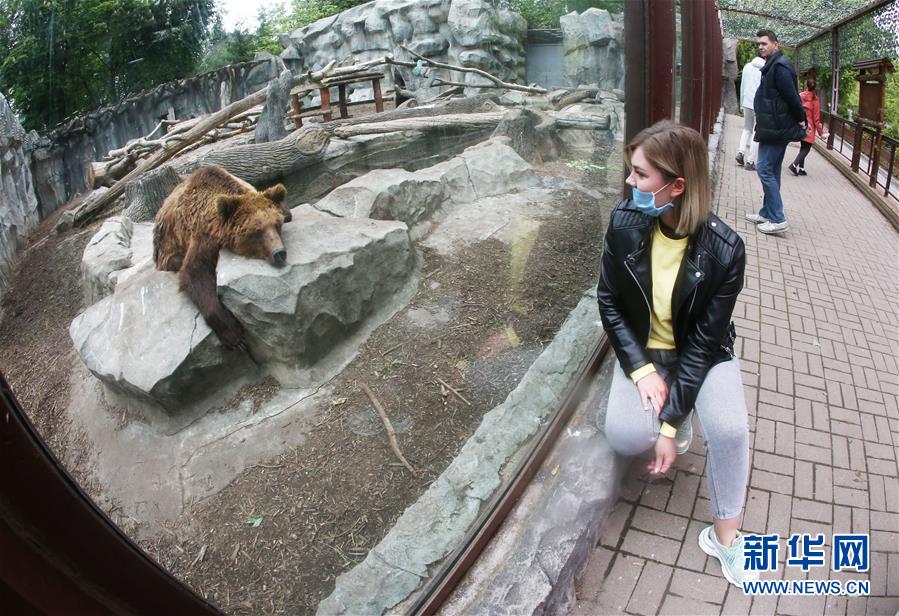 烏克蘭首都基輔動物園恢復對外開放