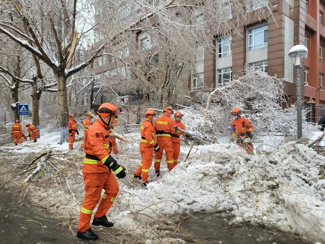 抗击雨雪冰冻 哈尔滨市森林消防支队守护冰城安危_fororder_图片3
