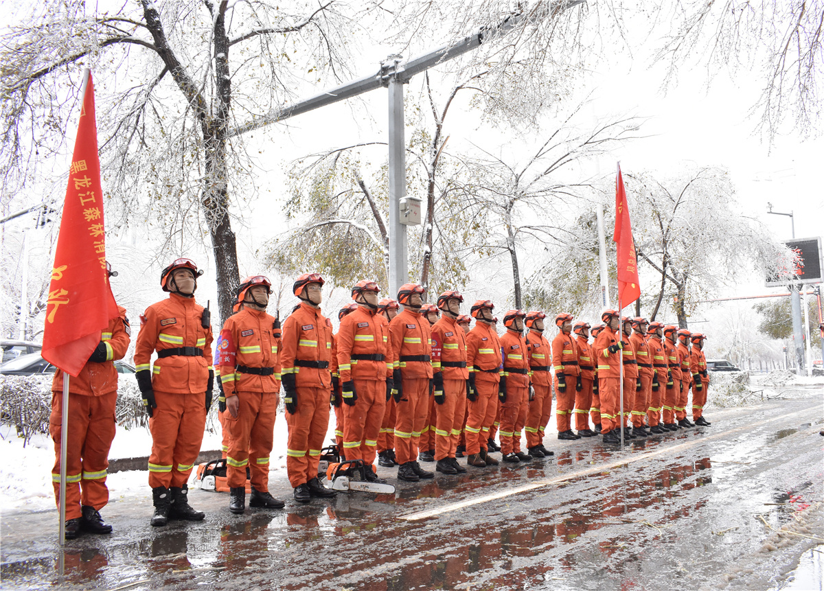 抗击雨雪冰冻 哈尔滨市森林消防支队守护冰城安危_fororder_图片2