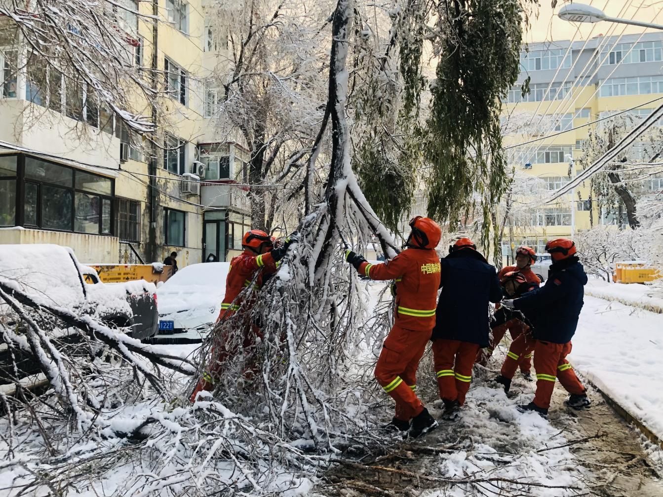 抗击雨雪冰冻 哈尔滨市森林消防支队守护冰城安危_fororder_图片5