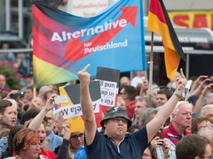 德国选择党：实在很冤枉 我们不是“纳粹”啊_fororder_028