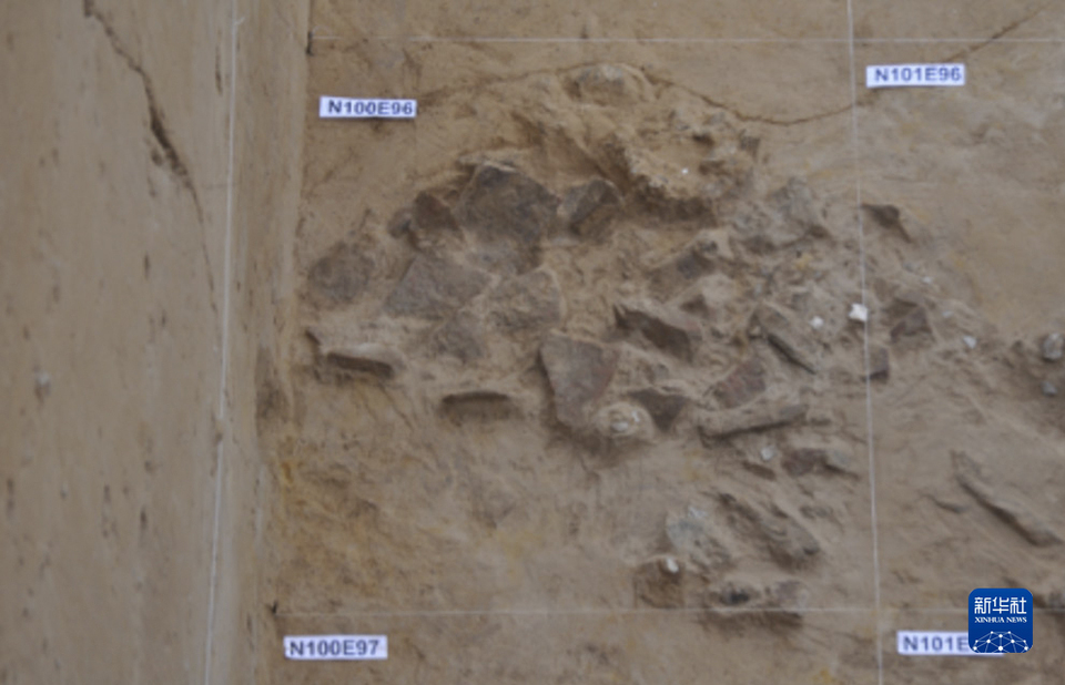 鄭州考古為中國—東亞現代人區域連續演化提供重要證據