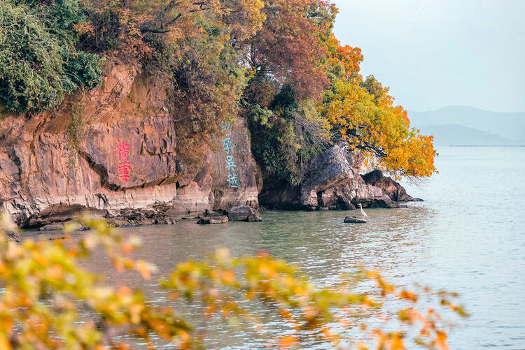 無錫黿頭渚：太湖鷗影皆詩意