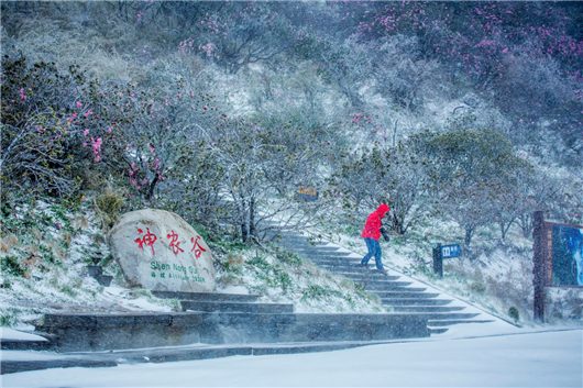 【急稿】【湖北】【供稿】湖北神农架景区2019旅游推介会在宁夏银川举行