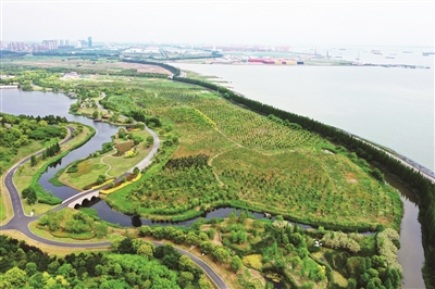 （環保圖文 三吳大地蘇州 移動版）蘇州推進生態美麗河湖建設“見成效”