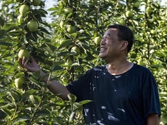 王宏：书写义县新时代“三农”新篇章_fororder_7acb0a46f21fbe09623a329caab7bb348644ad35
