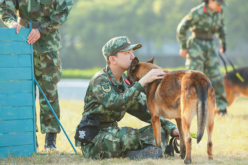 《奇兵神犬》高板牆訓練來襲楊爍受打擊沙溢自信爆棚