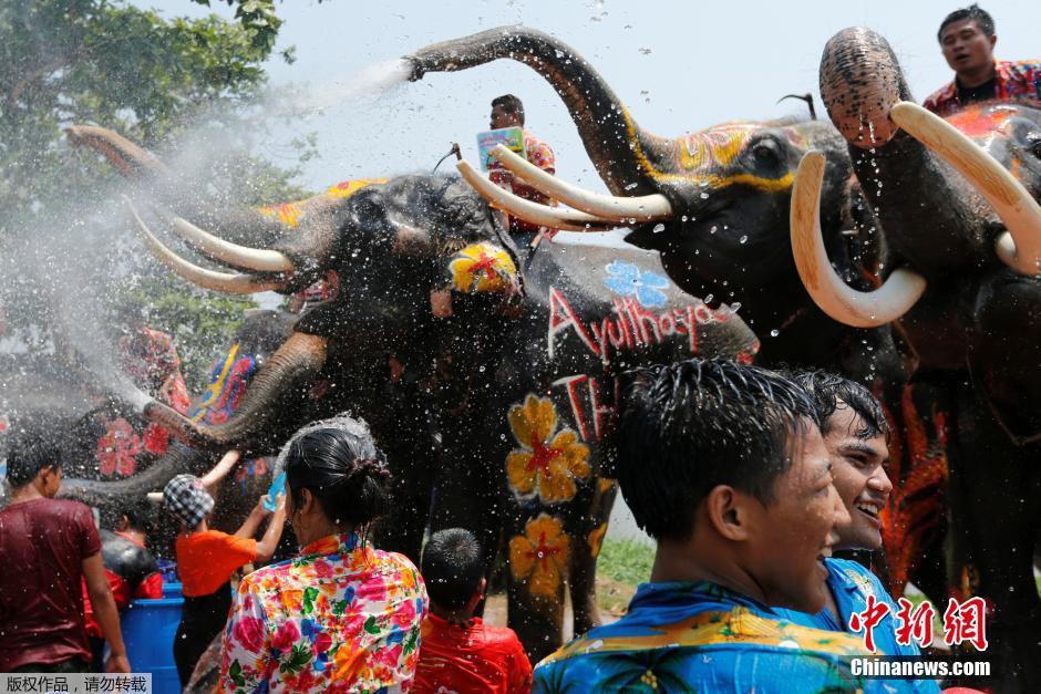 泰国民众庆祝泼水节 大象长鼻秒变“水枪”