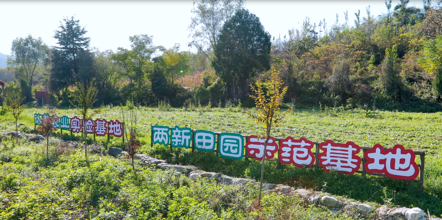 西安市長安區太乙宮街道入選陜西省鄉村振興示範鎮_fororder_圖片3