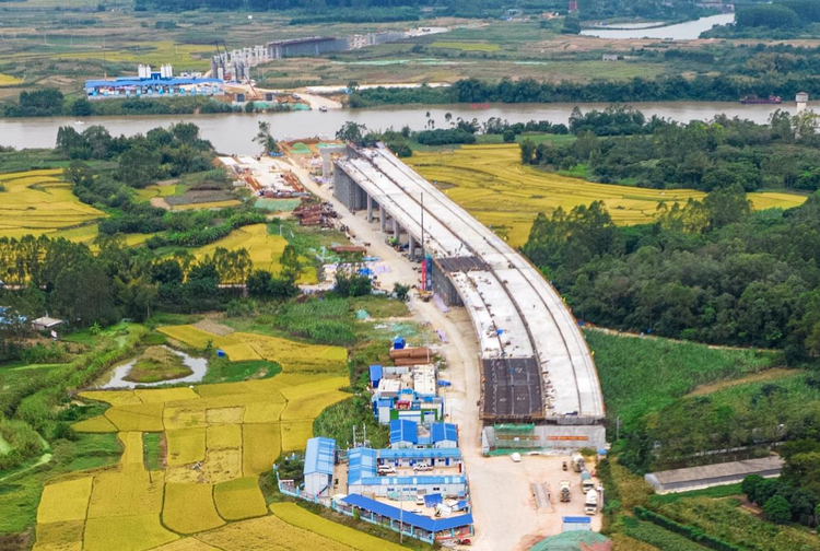 南宁青秀区推进“我为群众办实事” 开展实地走访活动_fororder_图片 1