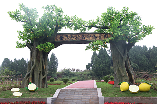 图片默认标题_fororder_位于中国(宝森)柠檬文旅特色小镇的世界柠檬