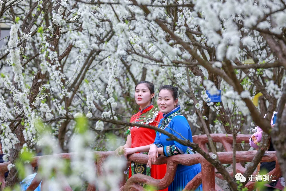 （中首）贵州新增11个国家4A级旅游景区 等你来打卡