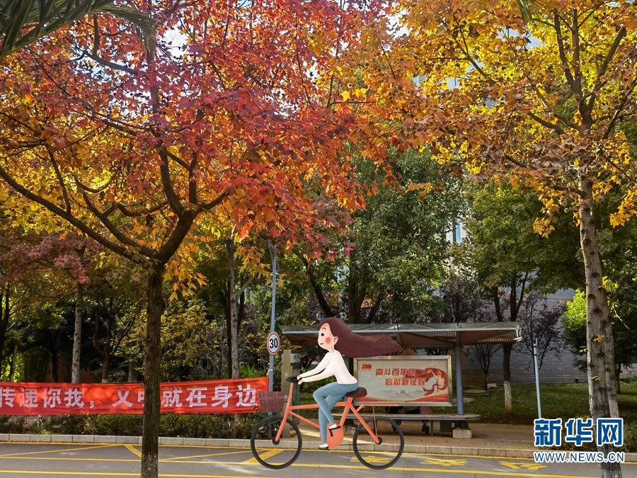 创意手绘＋校园美景 云南这所高校的“冬运会”有点萌！