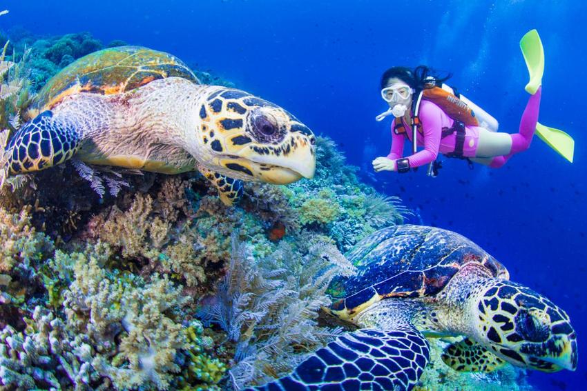 （在文中作了修改）（供稿 旅遊列表 三吳大地南京 移動版）南京將開通直飛美娜多航班 遊客可乘坐包機前去遊玩（列表頁標題）南京將開通直飛美娜多航班