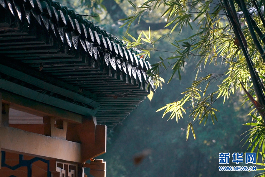 延续城市记忆 保护性修复让百年历史老公园绽放新颜值