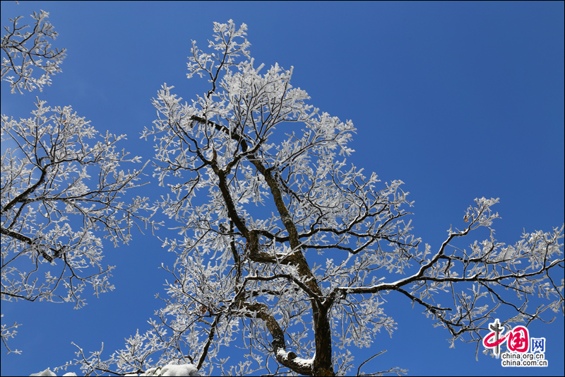 天堂寨：在无边秋色里遭遇飞雪