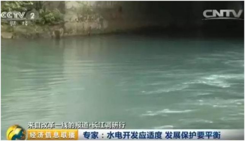 引水式水電站致長江多條支流斷流 珍稀魚類滅絕