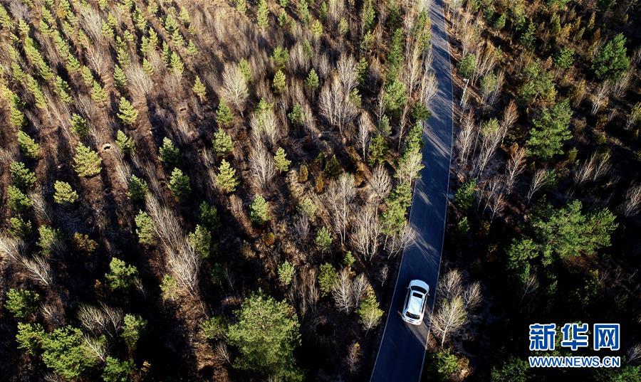 毛乌素治理：众志缚流沙 塞外展新颜