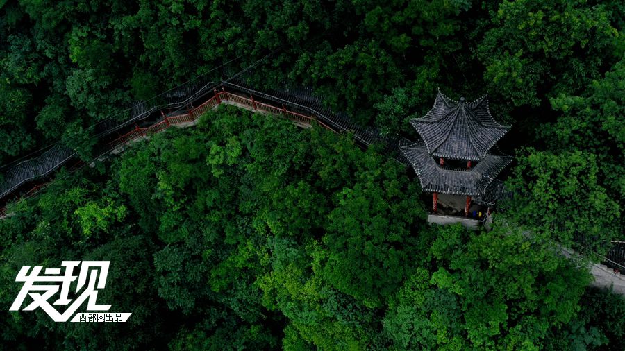 被森林“包围”的陕南小城 云雾缭绕满目苍翠