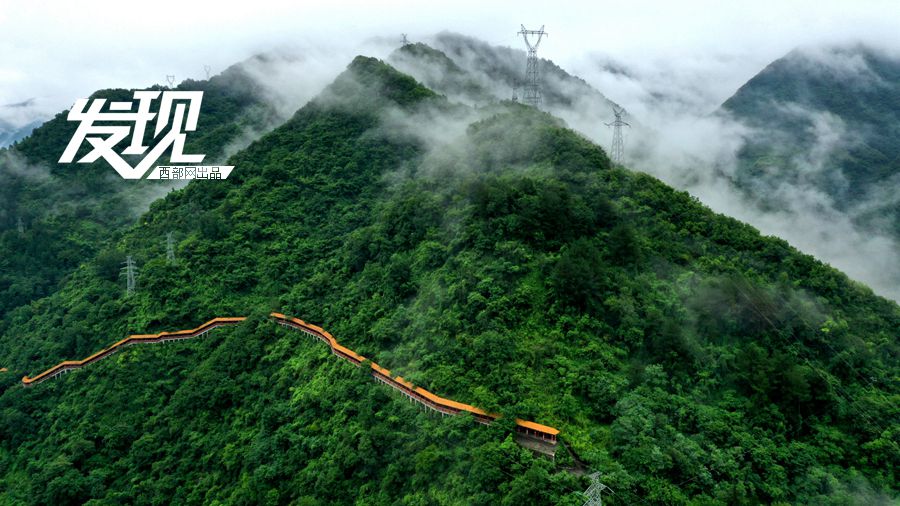 被森林“包围”的陕南小城 云雾缭绕满目苍翠