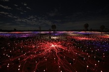 藝術家用5萬盞燈點亮沙漠宛如童話仙境