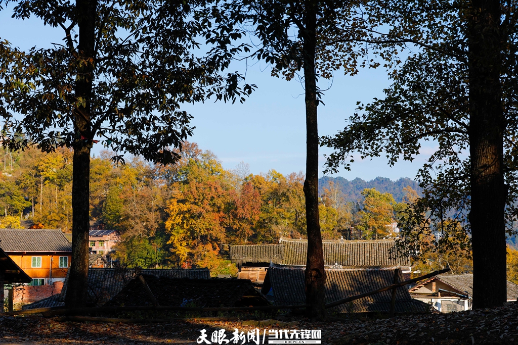 （中首）黔东南剑河：冬日乡村美如画 生态宜居好生活