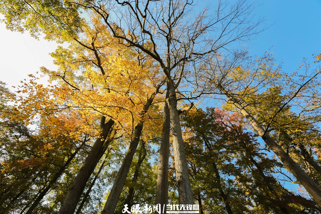 （中首）黔东南剑河：冬日乡村美如画 生态宜居好生活