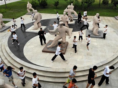 Pic story: Young learners practise Taiji in central China's Henan Province