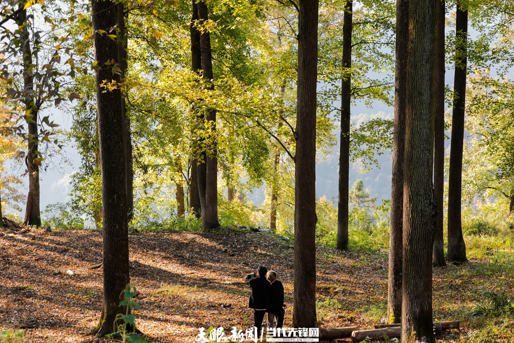 （中首）黔东南剑河：冬日乡村美如画 生态宜居好生活