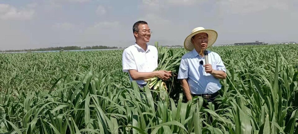 总书记提到的《山海情》原型林占熺,他是谁?