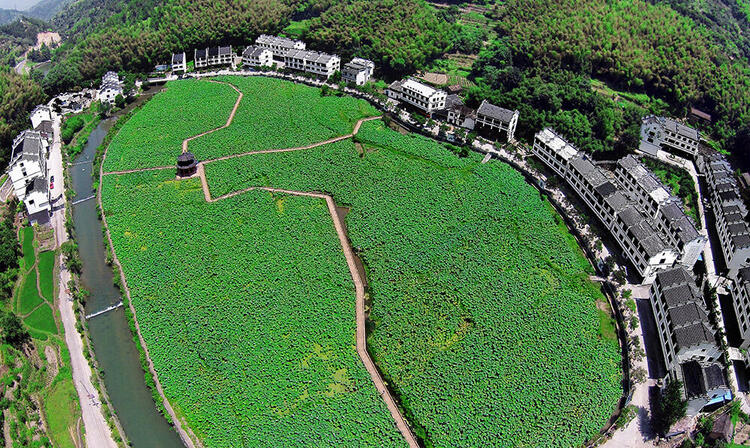 聚焦麗水山居圖丨海內外大咖這樣看“麗水山居圖”