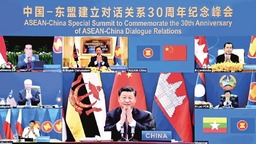 外媒聚焦中國東盟建立全面戰略夥伴關係_fororder_5