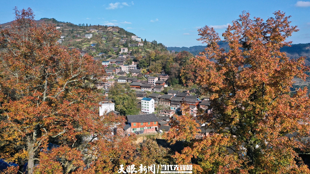 （中首）黔东南剑河：冬日乡村美如画 生态宜居好生活