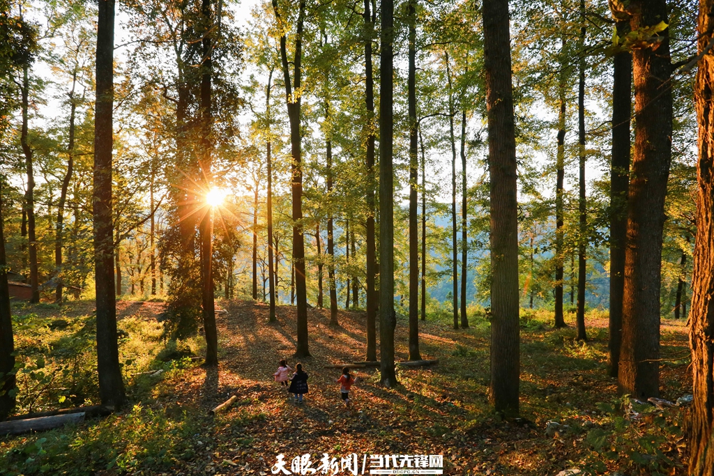 （中首）黔东南剑河：冬日乡村美如画 生态宜居好生活