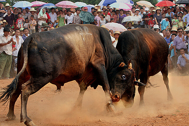 到高安 享受惬意生活