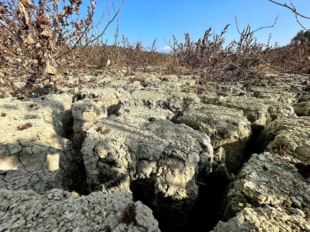 高温席卷土耳其 大坝部分区域干涸见底