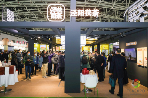 中国西部茶业第一展——第九届西部茶博会盛大开幕！